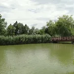 Lazaapartman * Nyíregyháza
