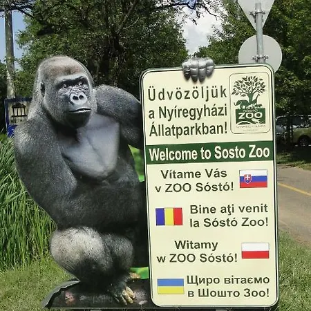 Lazaapartman *